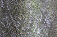 Bourton Westwood fibreglass roof work